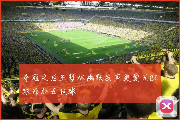 夺冠之后王哲林幽默发声更爱五ga球而非五佳球