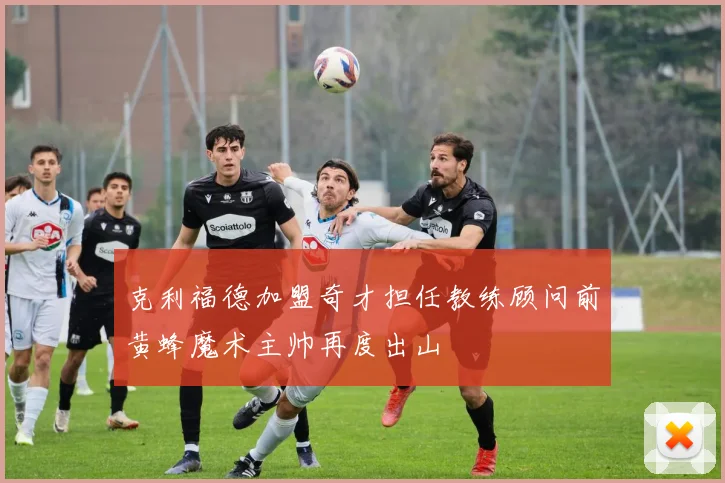 克利福德加盟奇才担任教练顾问前黄蜂魔术主帅再度出山
